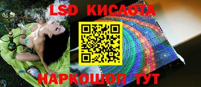 PSILOCYBIN Заволжье