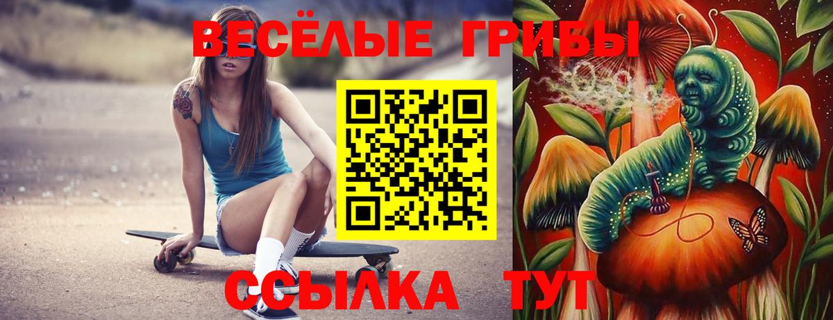 Галлюциногенные грибы ЛСД Котельники
